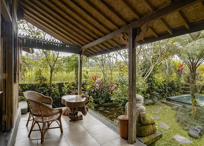 Moringa Ubud