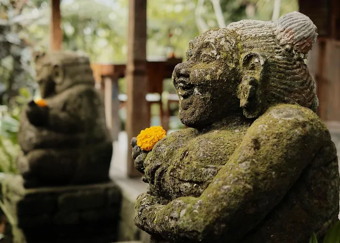 Moringa Ubud