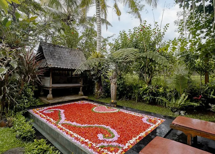 Moringa * Ubud