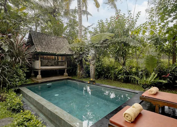 Moringa * Ubud