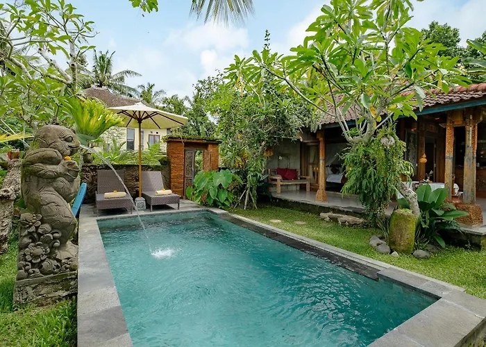 Moringa Ubud